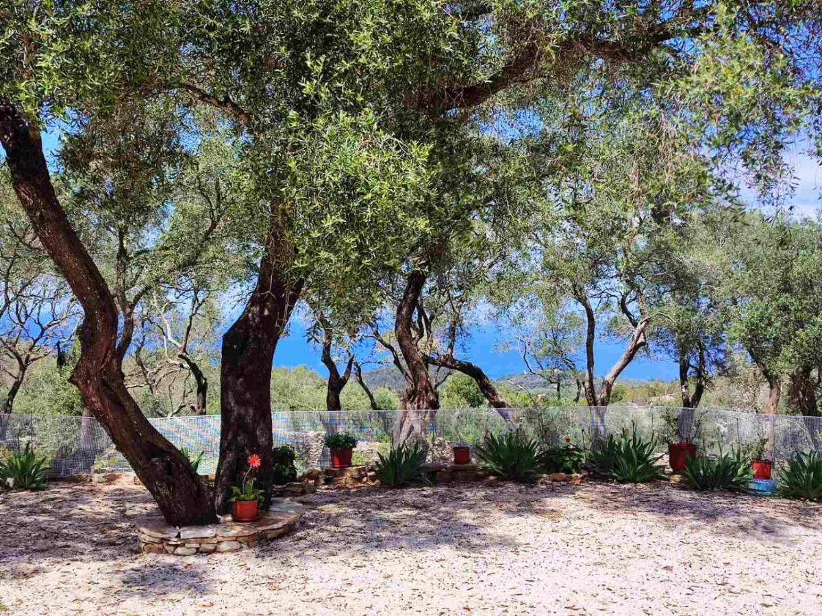 Villa Olive Garden, Kastanida - Paxoi Gaios Exterior foto