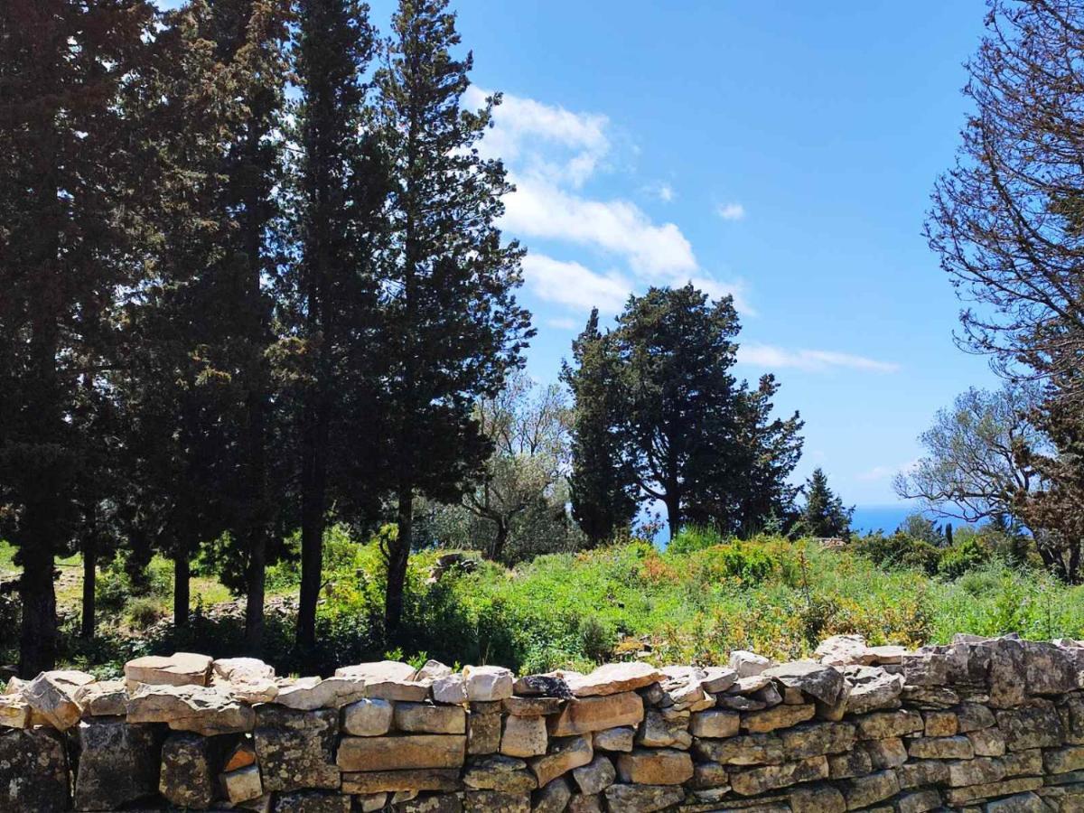 Villa Olive Garden, Kastanida - Paxoi Gaios Exterior foto